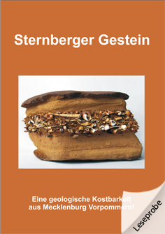Buch Sternberger Gestein